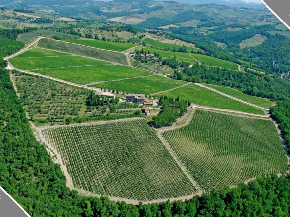 Affascinante Borgo Con Piscina Immerso Nella Natura - Castellina In Chianti