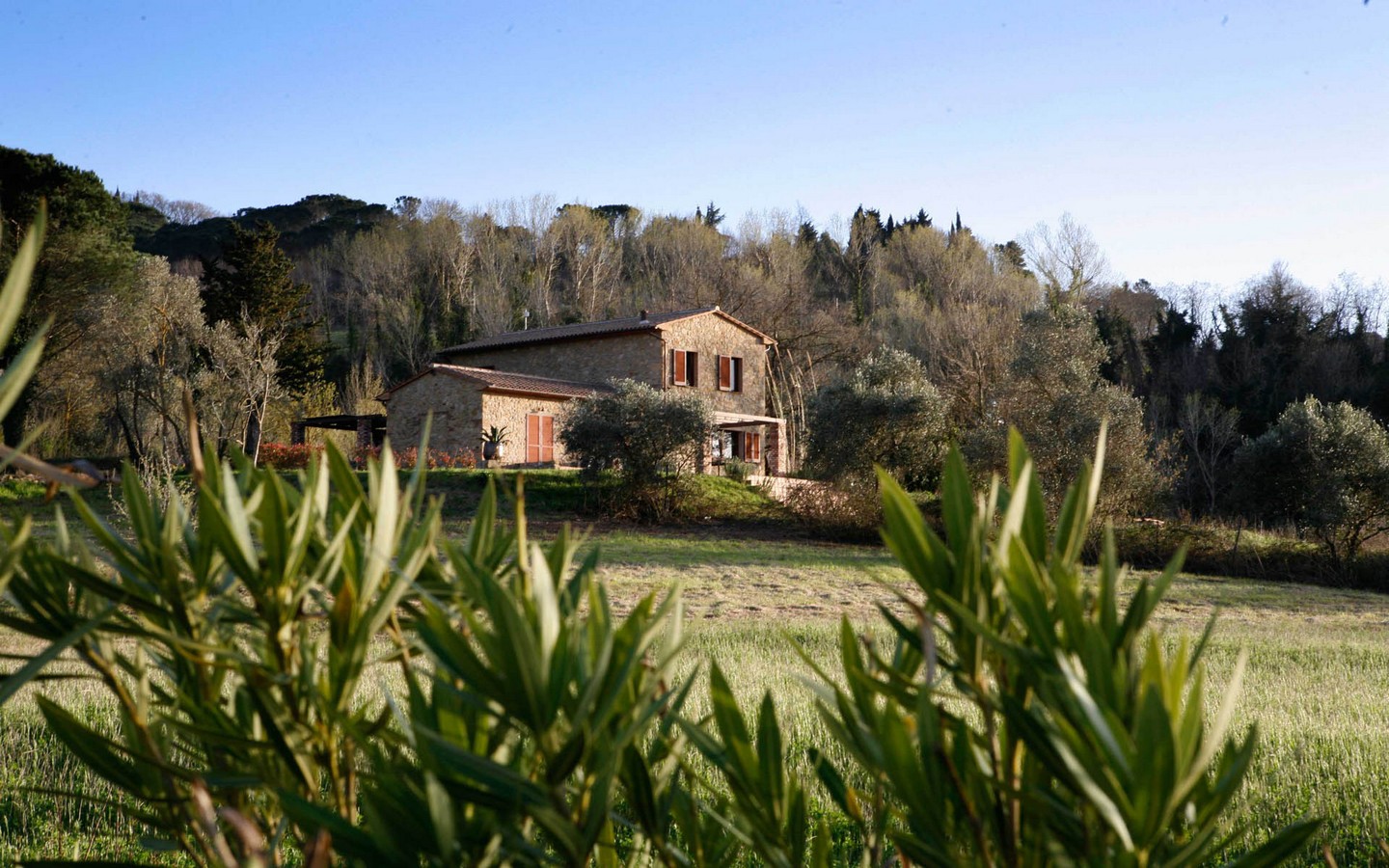 Casolare In Pietra Con Piscina E Ampio Terreno Immerso Nella Campagna Toscana