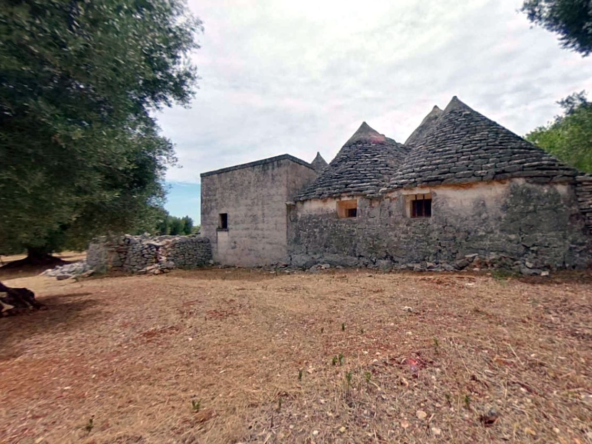 Trulli- og lamiekompleks med sekulære oliventrær