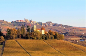 FORBES - Vinregionen Piemonte