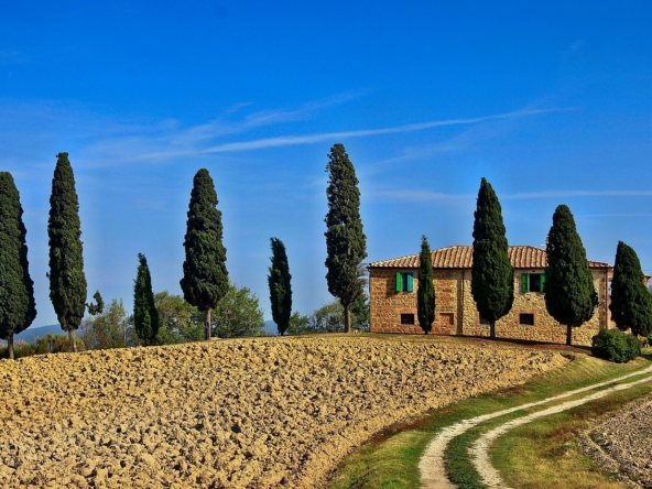 Life-Changing Decision: The Notary Act in Italy when buying a house