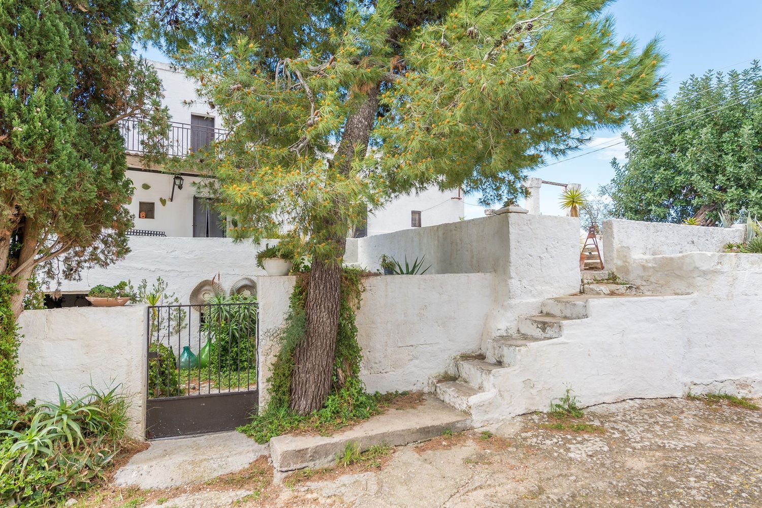 Masseria Del 900 Vista Mare