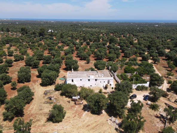 Meravigliosa Masseria Con Con Frantoio