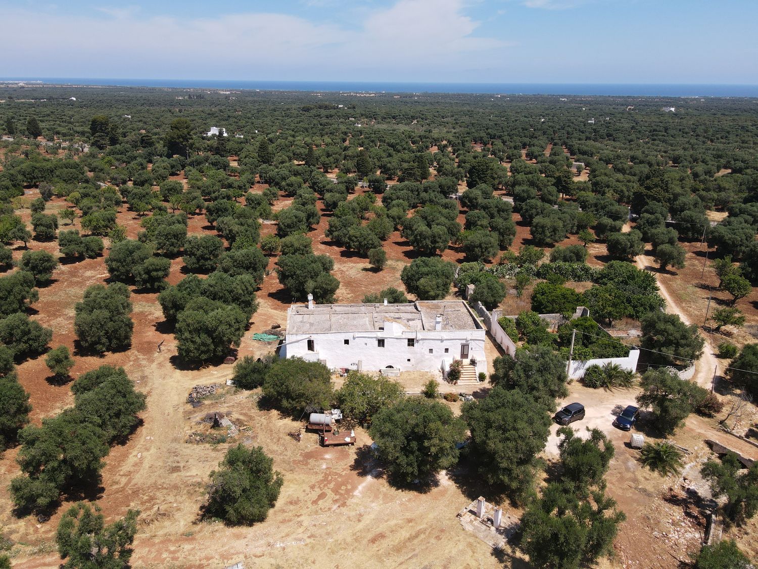 Meravigliosa Masseria Con Con Frantoio
