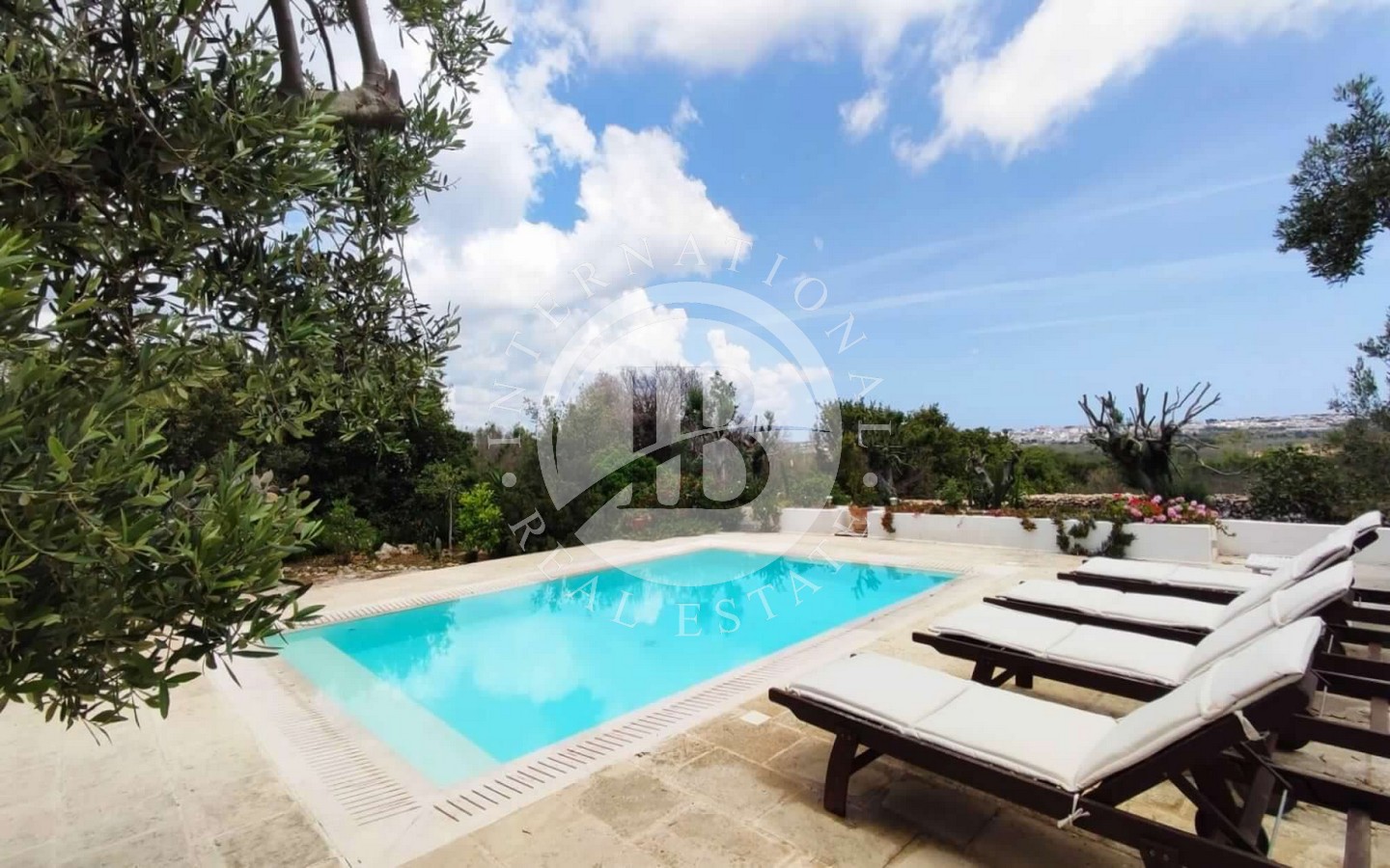 Piscina E Uliveto