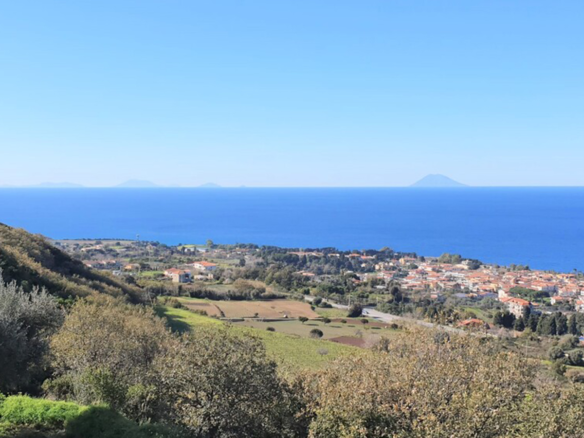 Neubau nur wenige Meter vom Zentrum von Tropea und dem Meer entfernt
