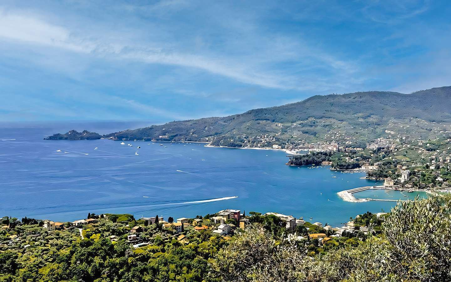 Prestigiosa Villa Con Piscina E Dépendance - Zoagli