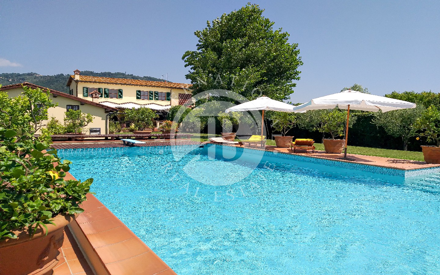 Grundstück mit Pool und großem Garten in der Versilia-Landschaft