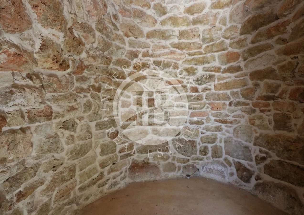 Patù