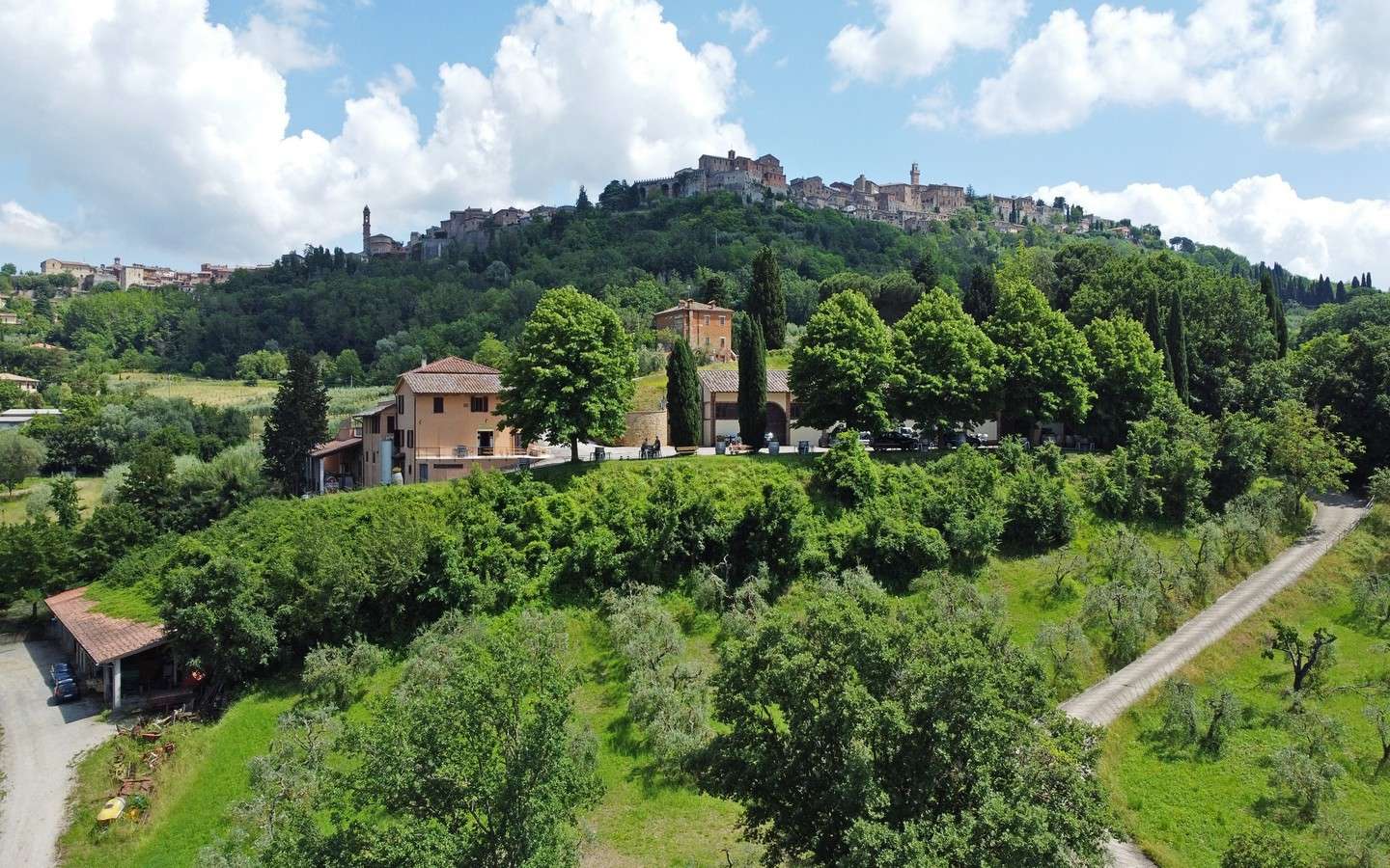 Proprietà Vitivinicola A Montepulciano