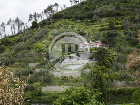Villa Su Due Livelli Con Ampio Giardino E Piscina A Levanto