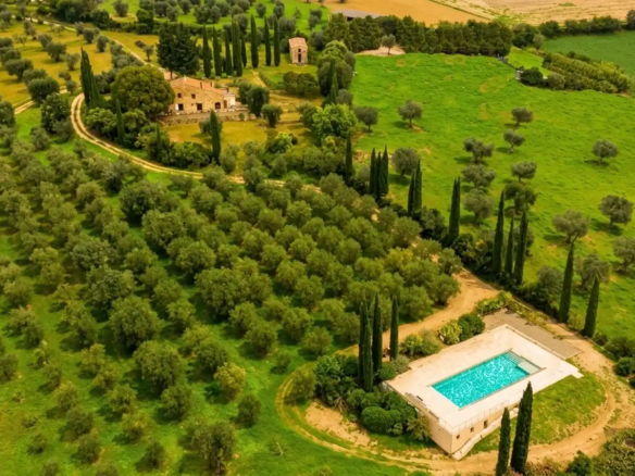 IB 839 Villa med svømmebasseng og arkeologisk område i Campagnatico