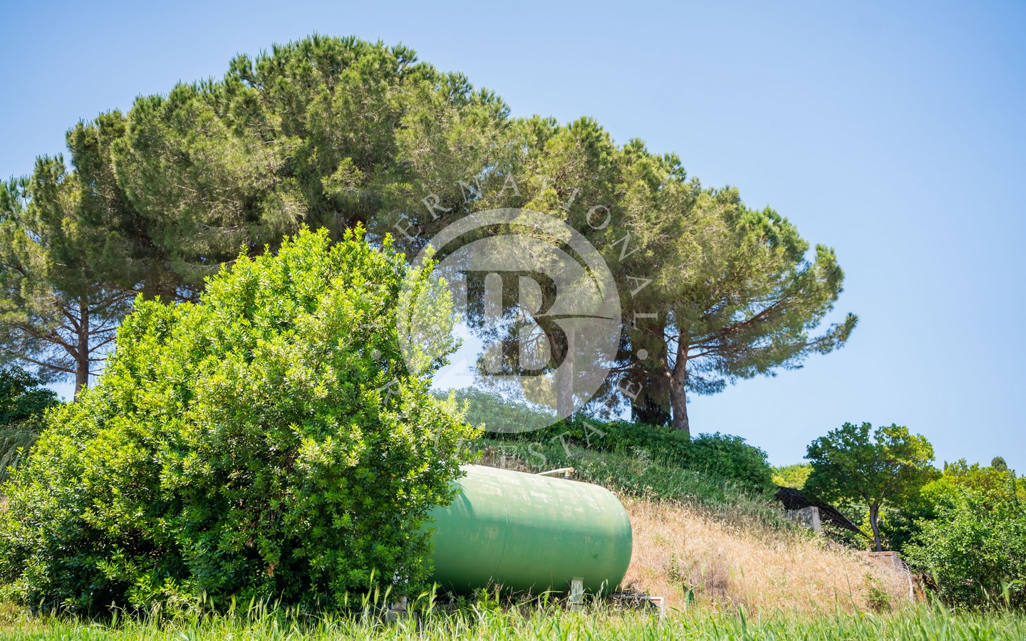 Autentica Colonica Toscana In Pietra Con Dependance E Ampio Giardino, Rosignano Marittimo