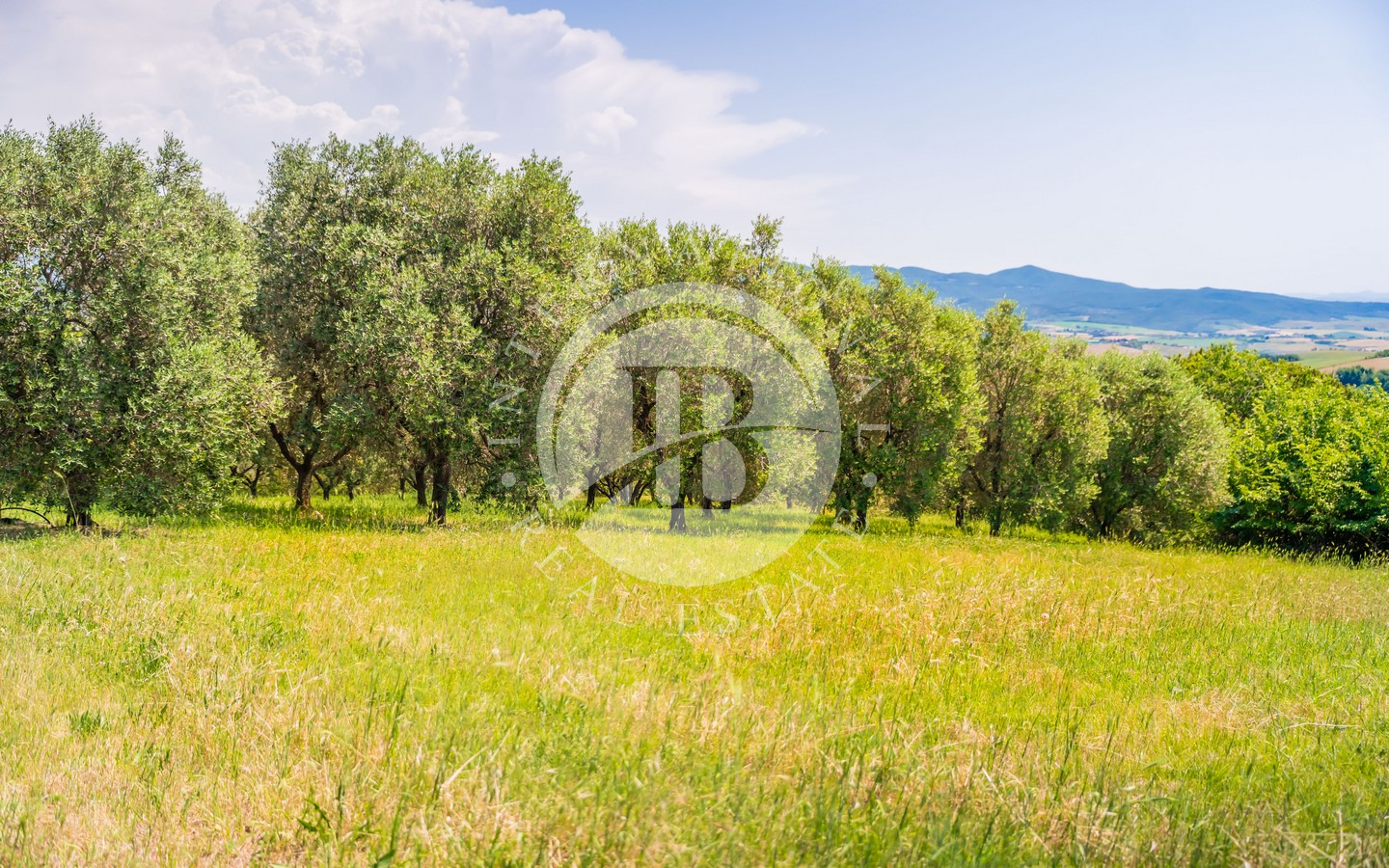 Autentica Colonica Toscana In Pietra Con Dependance E Ampio Giardino, Rosignano Marittimo