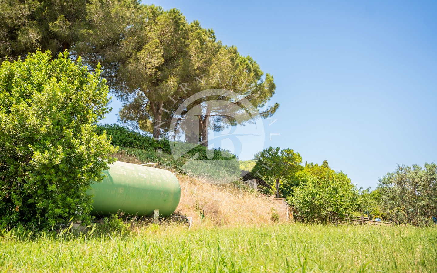 Autentica Colonica Toscana In Pietra Con Dependance E Ampio Giardino, Rosignano Marittimo