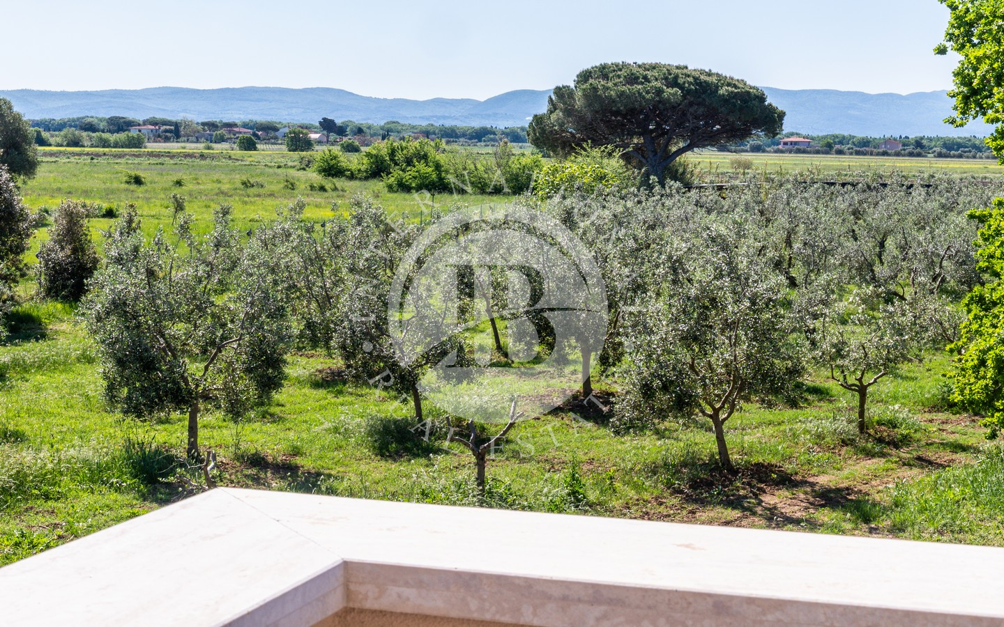 Prestigiosa Residenza Di Campagna In Vendita Tra Bibbona E Bolgheri
